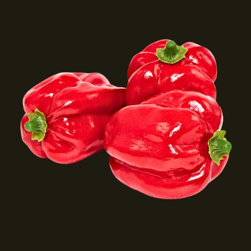 Deko-Gemüse Paprika Rot H10cm-9630-02