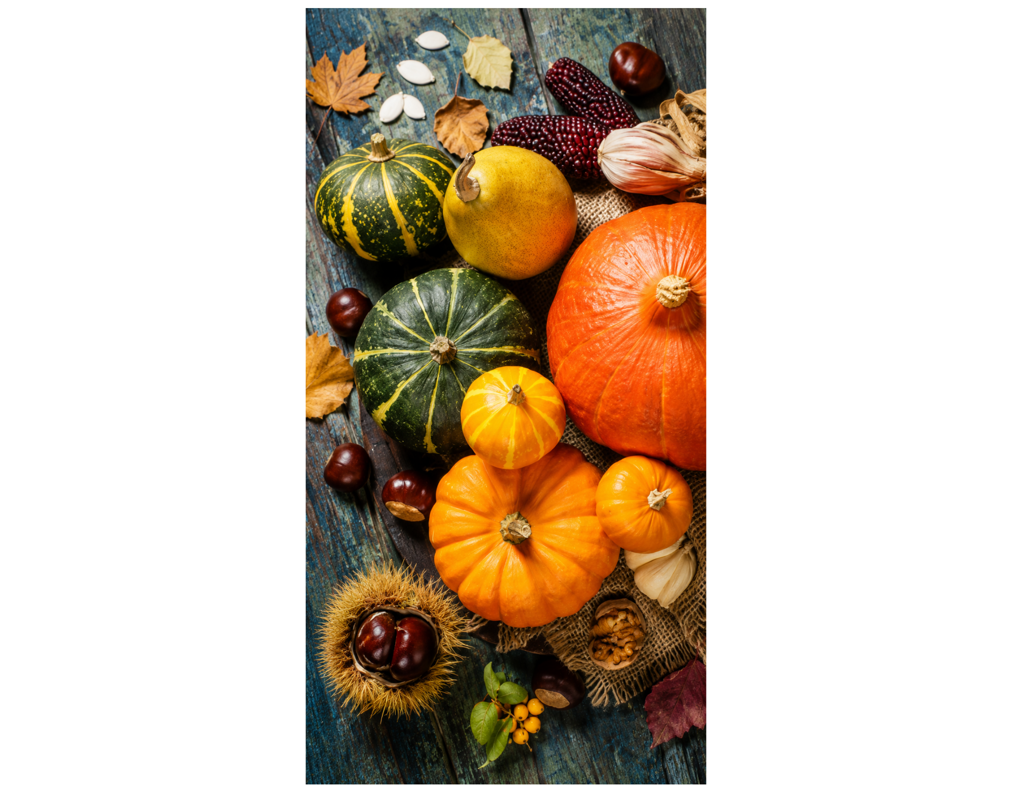 Bannière textile Assortiment de citrouilles