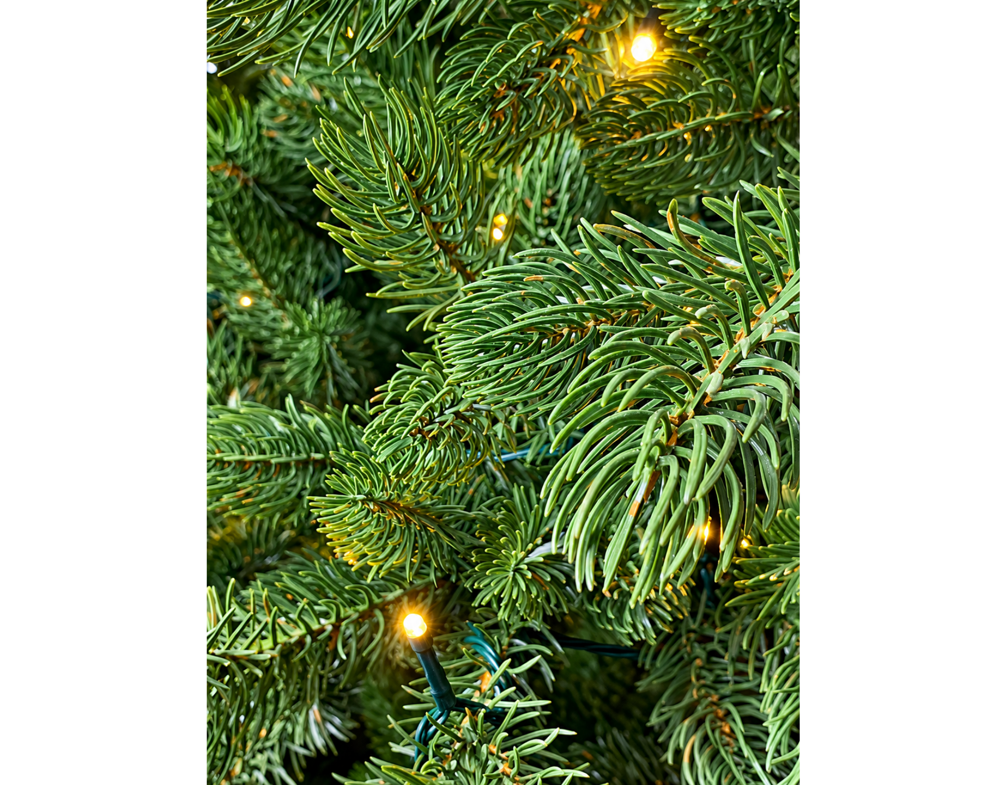Weihnachtsbaum De Luxe Easy Shape 120 cm