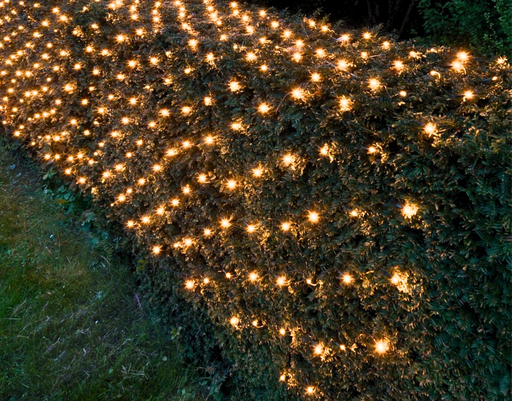 S-LED Connect Lichternetz, 200 x 200 cm