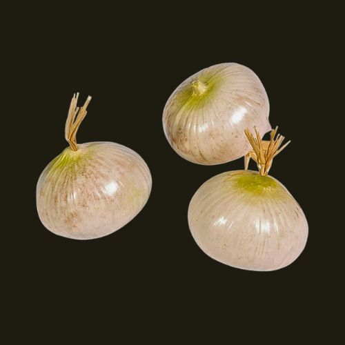 Oignon blanc