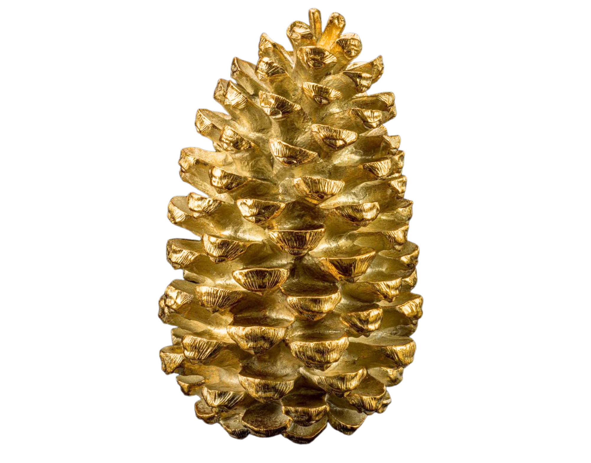 Pinecon L