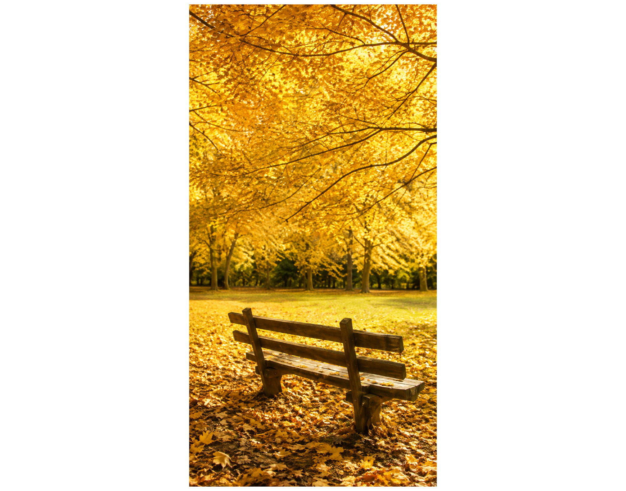 Bannière textile Banc dans un paysage d'automne