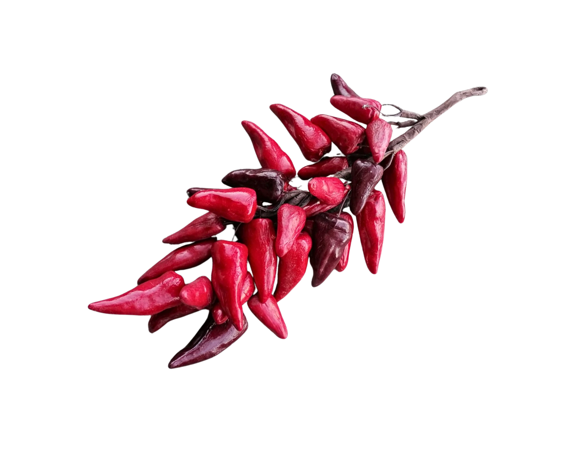 Chilli-Zopf