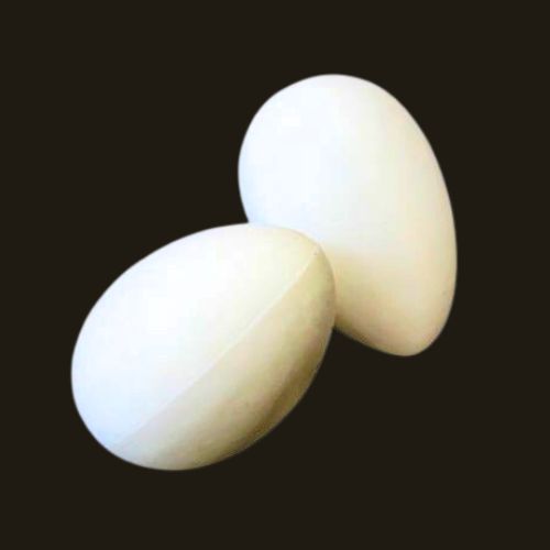 Oeuf d'autruche