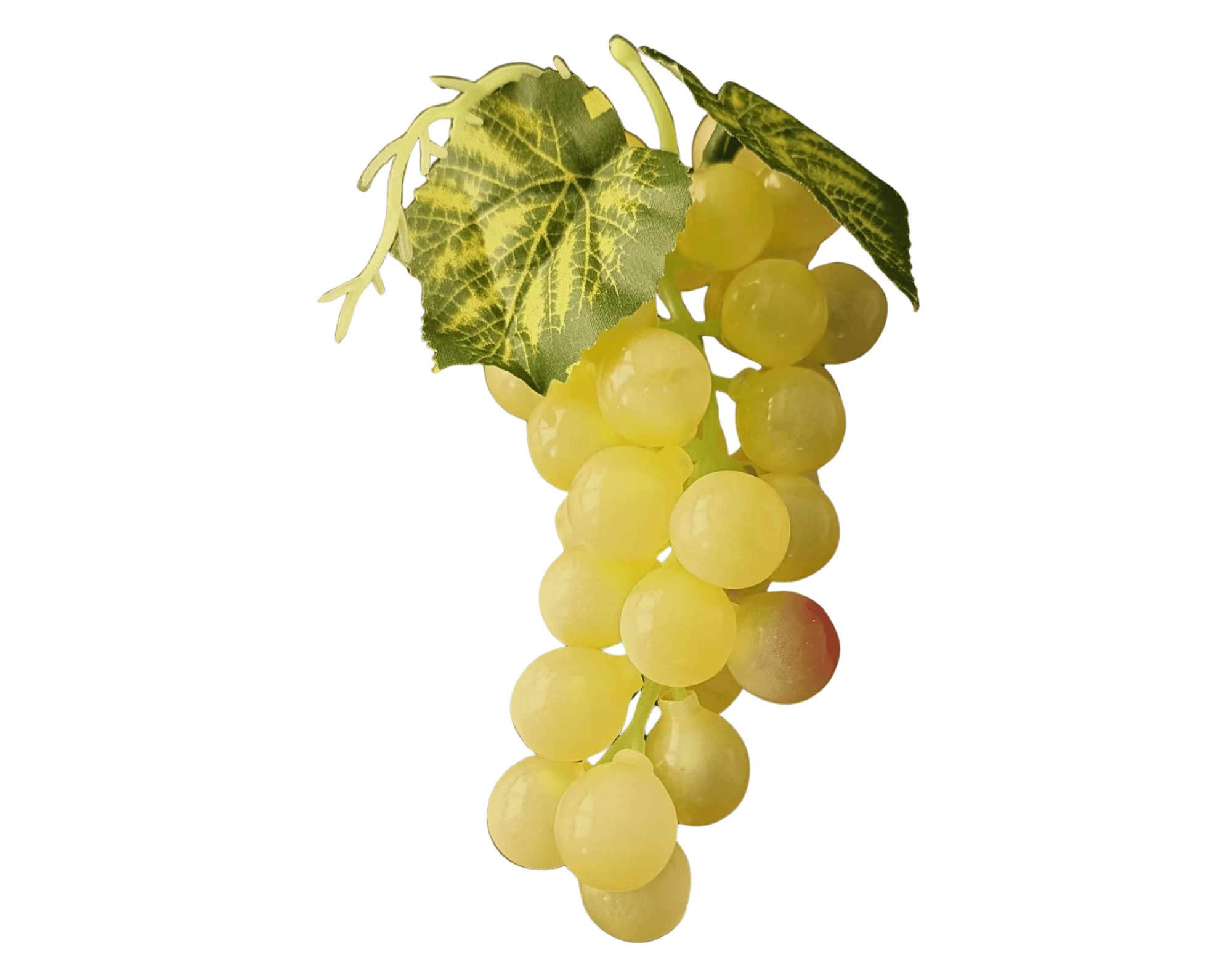 Grappe de raisins rouge, 54fois