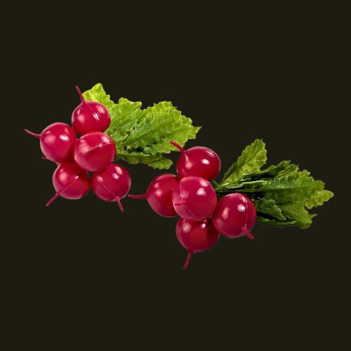 Botte de radis aliment factice