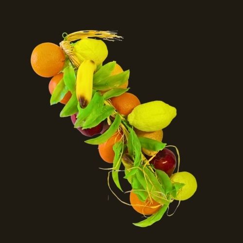 Grappe de fruits
