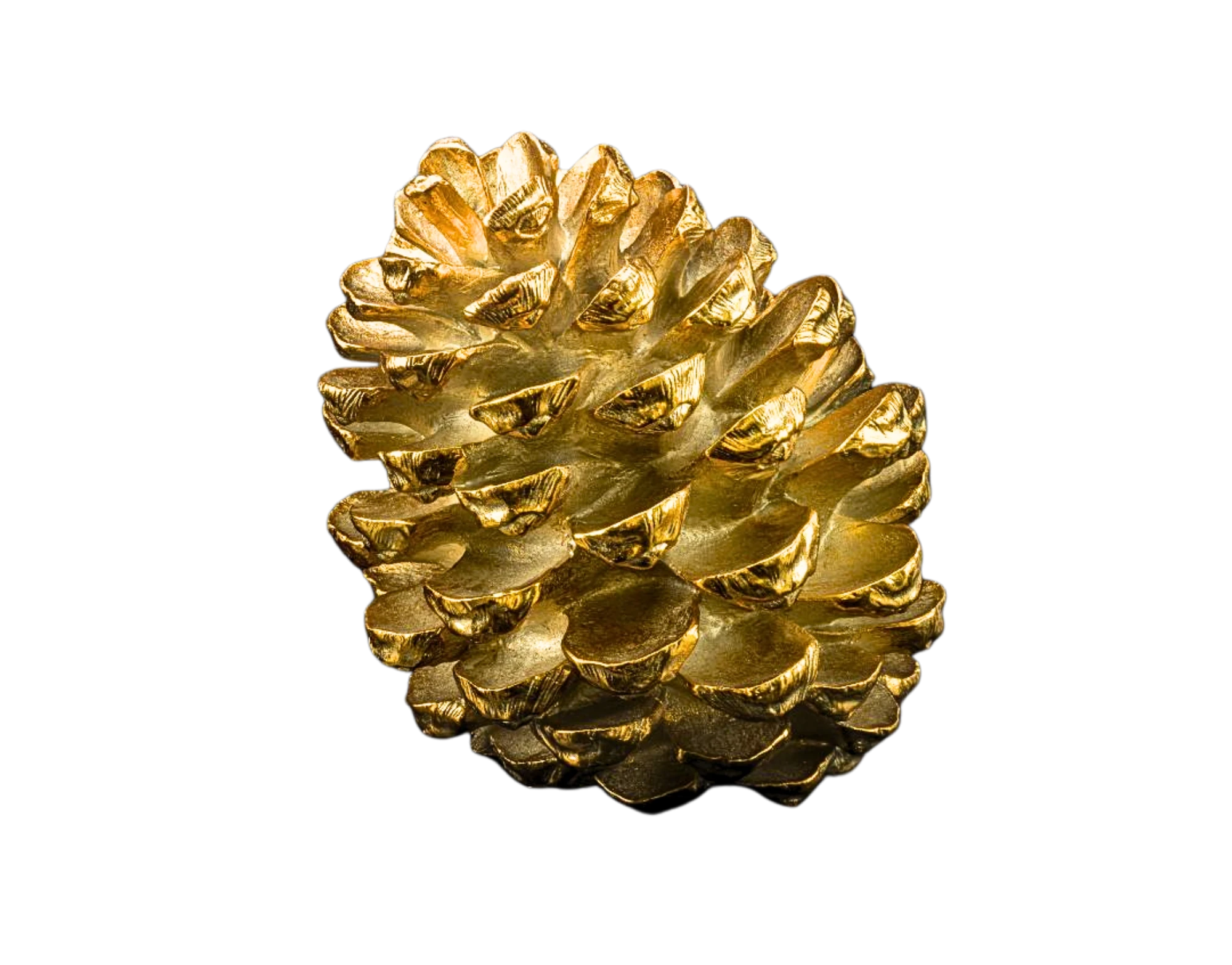 Pinecon S