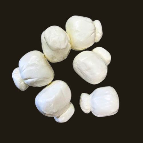 Fromage Mozzarella