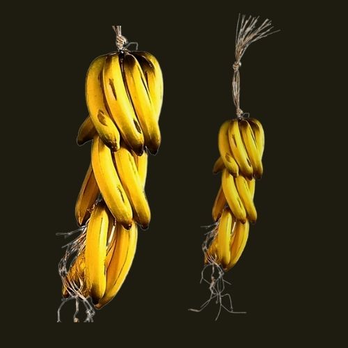 Grappe de bananes