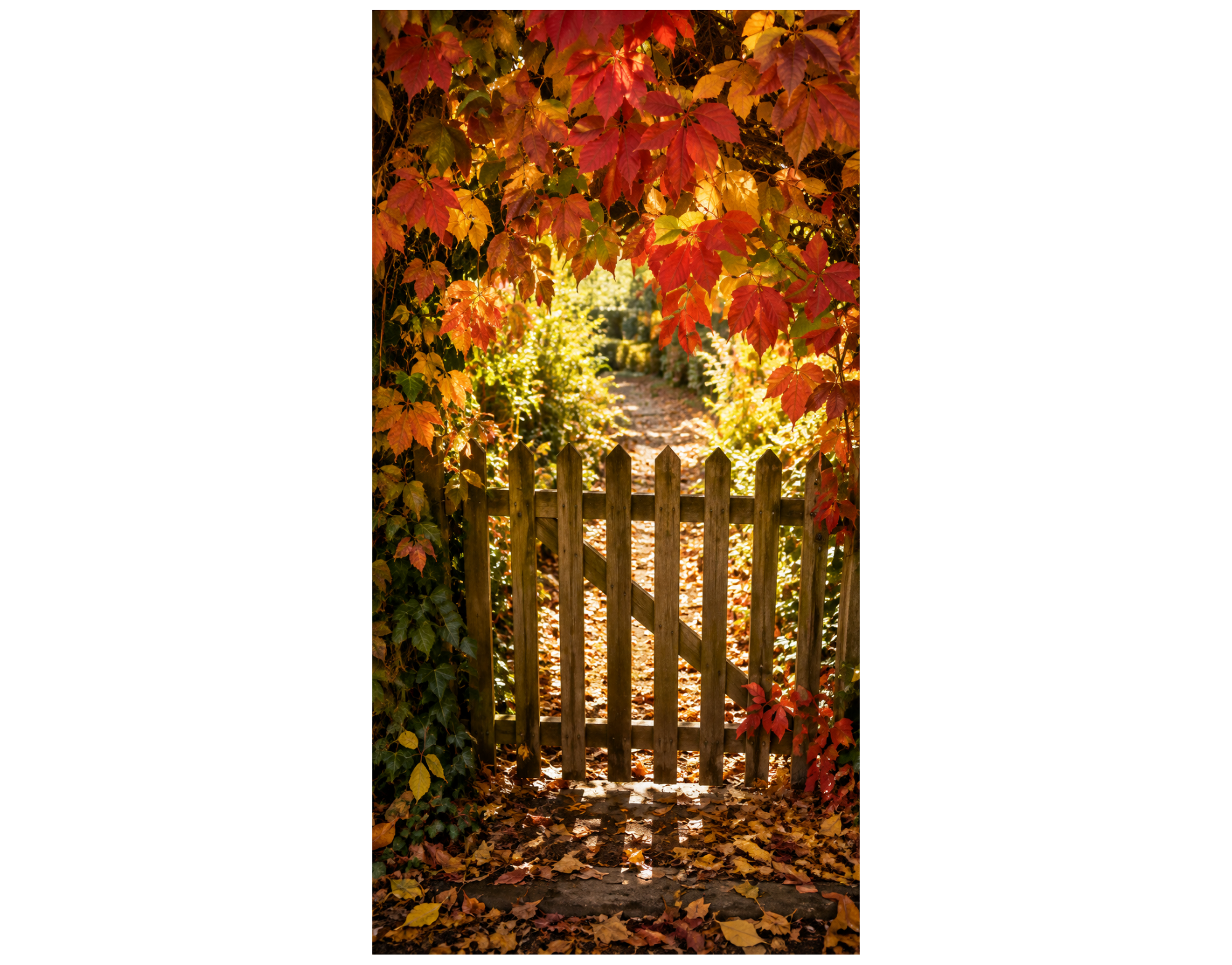 Bannière textile Clôture dans les feuilles d'automne