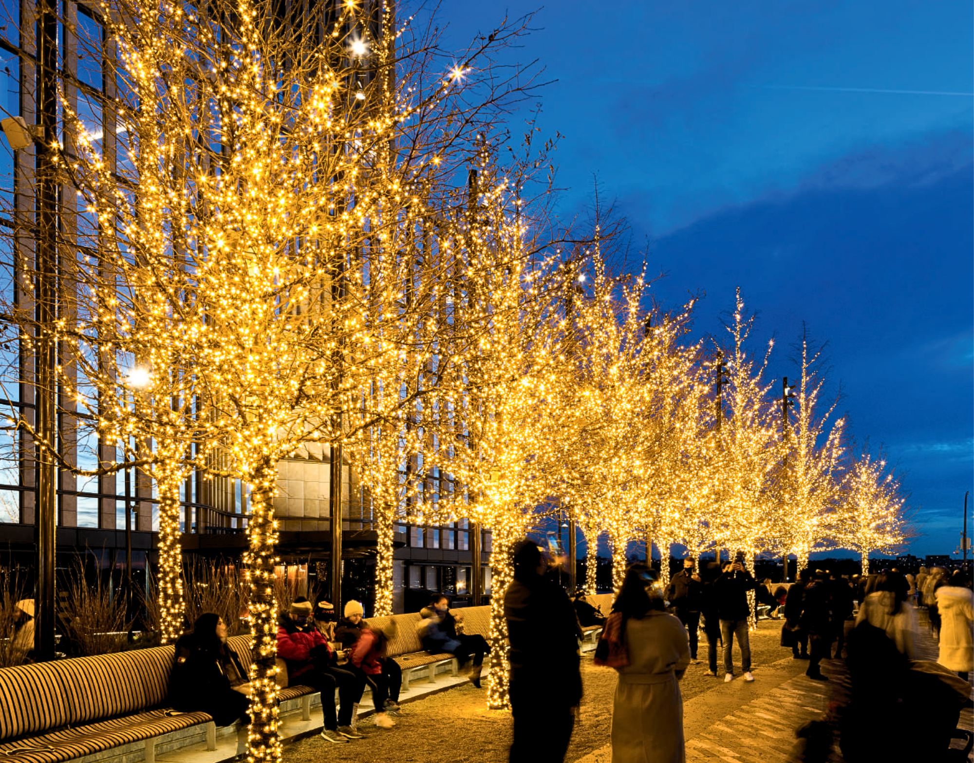 Lichterkette LED+ 