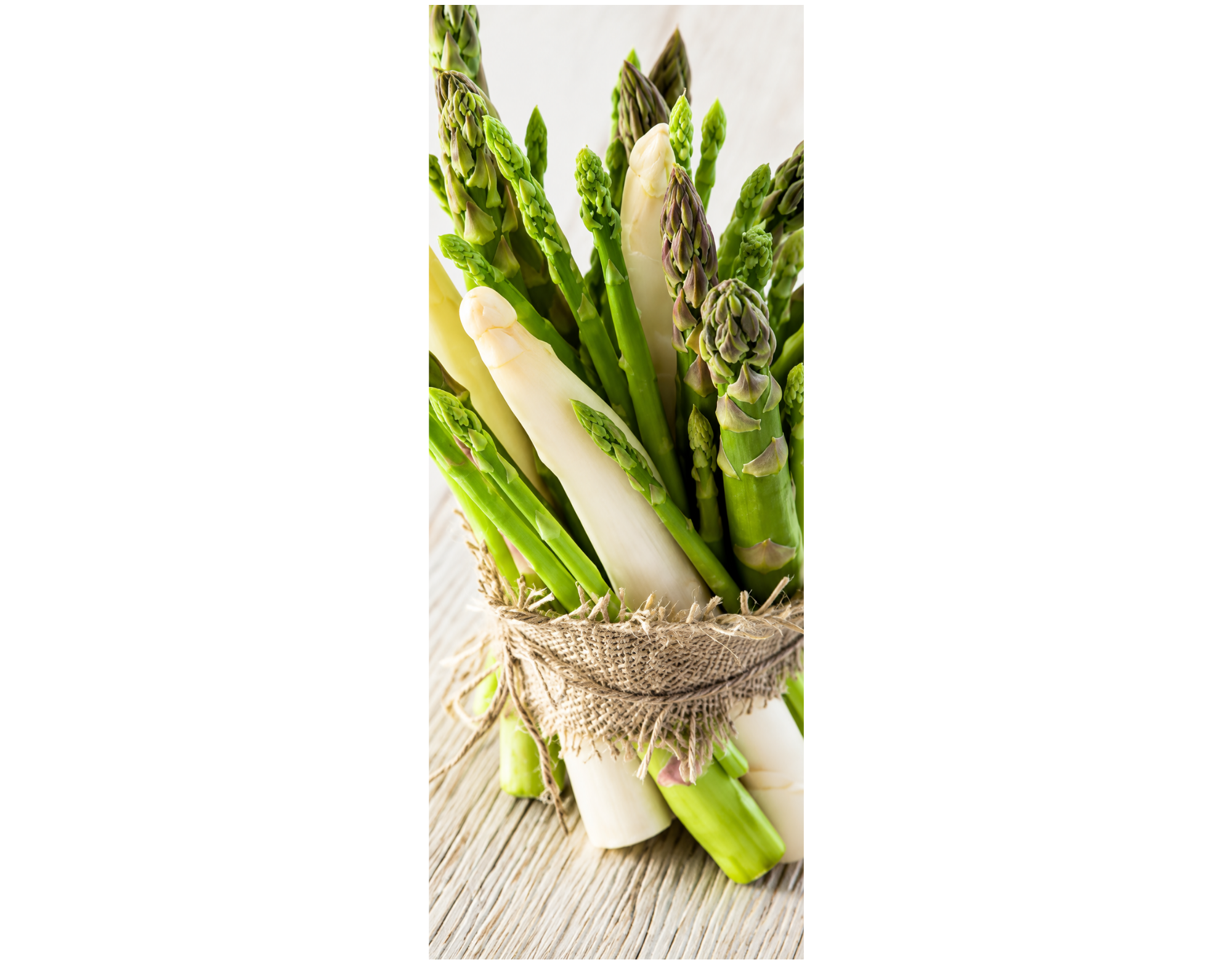 Stoffbanner Frischer Spargel